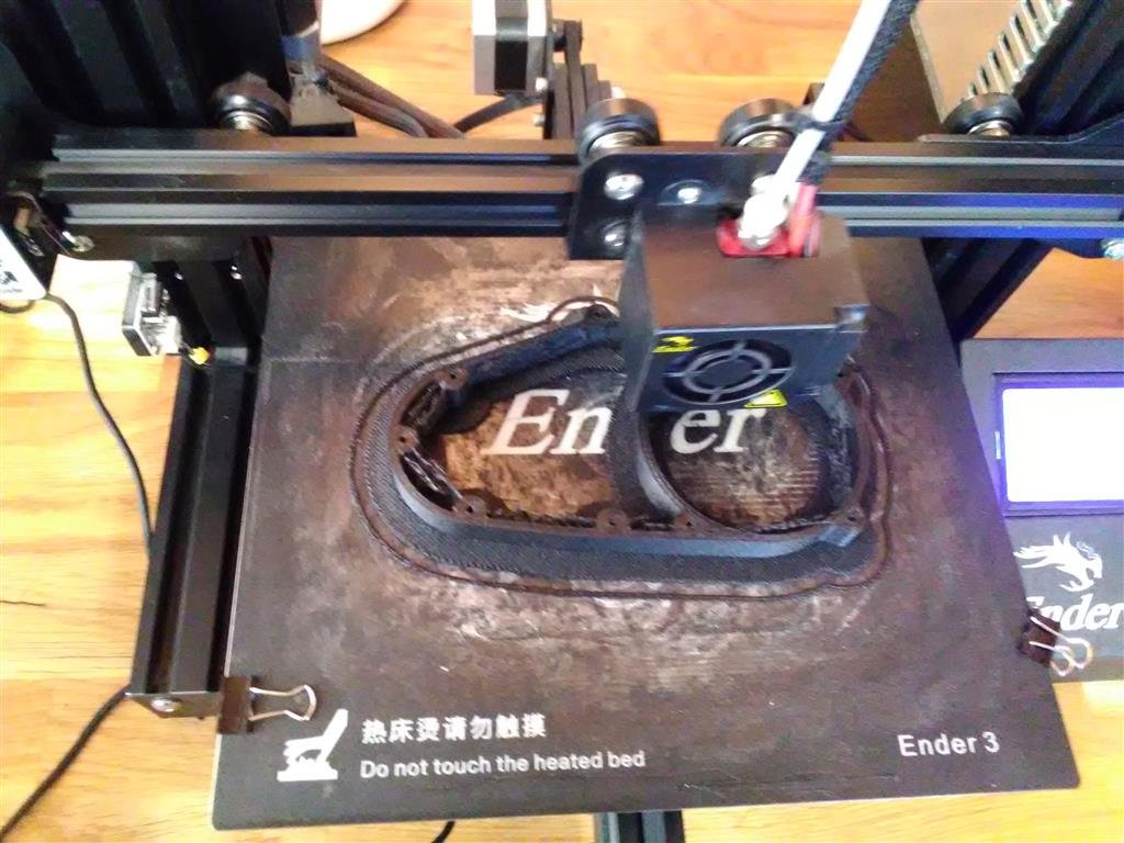 IMG_20201031_145621 (Medium).jpg